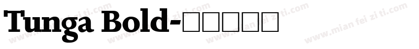Tunga Bold字体转换